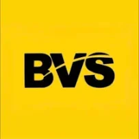 BVS Braintree Van Sales